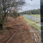 Clearing of dense scrub at Blandford Camp