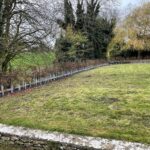 Hornbeam-hedging-in-Avebury-Trusloe