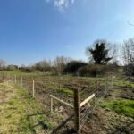 Tiny Forest Scheme across Wiltshire