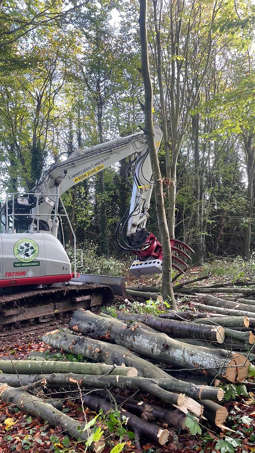 Mark and Matty starting a woodland thinning project with the Vosch