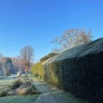 Annual hedge trim, Devizes