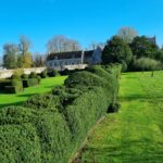 Hedge trimming box and yew at Avebury Manor Dec 22 3