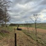 fencing & scrub clearance near Marlborough