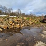 Timber stack in Hampshire