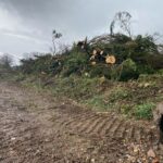 site clearance near Marlborough