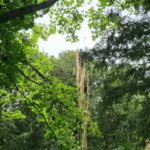 aerial rigging