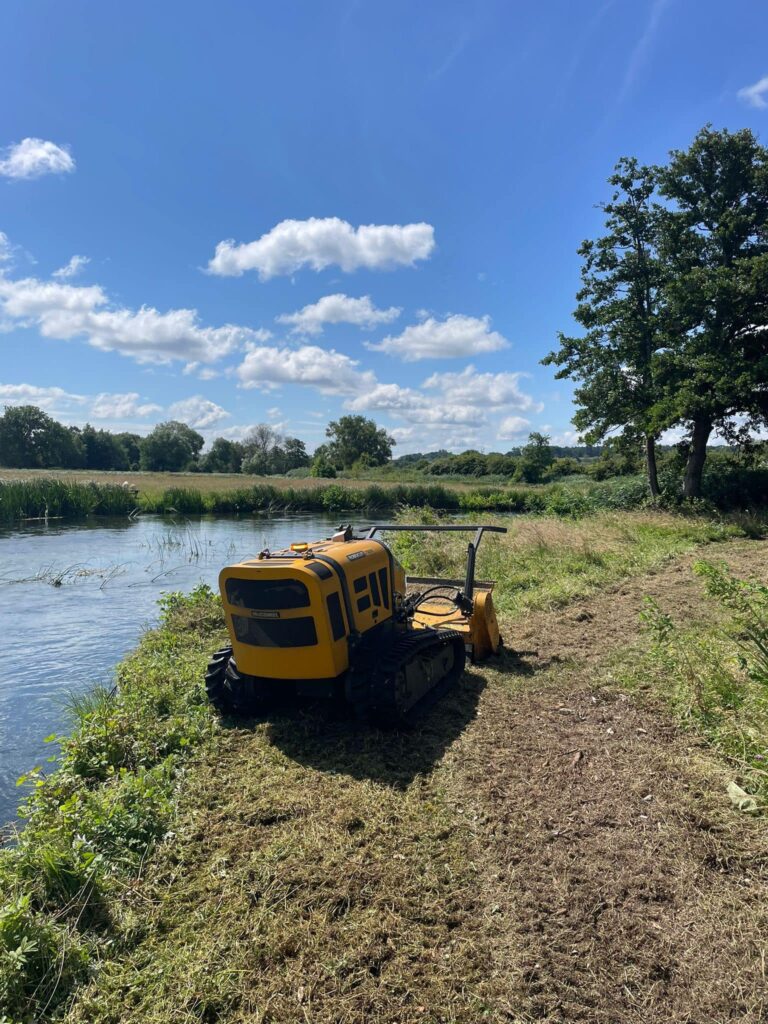 scrub clearance along the River Test