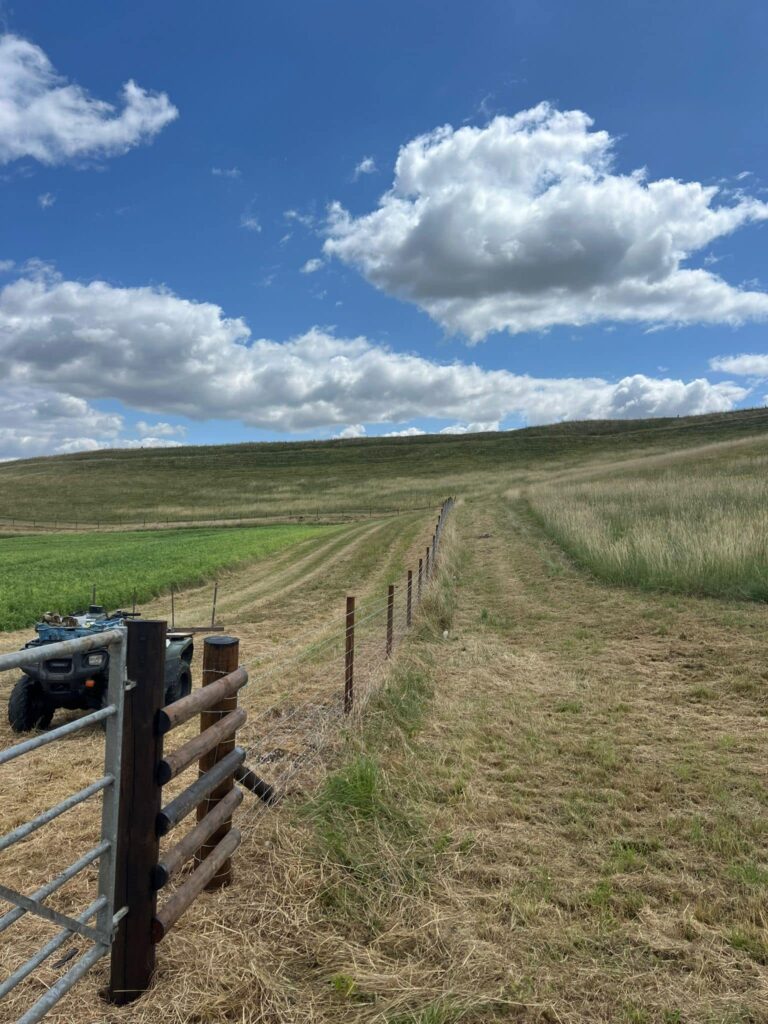 800m stock fencing complleted