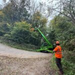 Dismantle roadside ash at Avoncliff Sept 2025