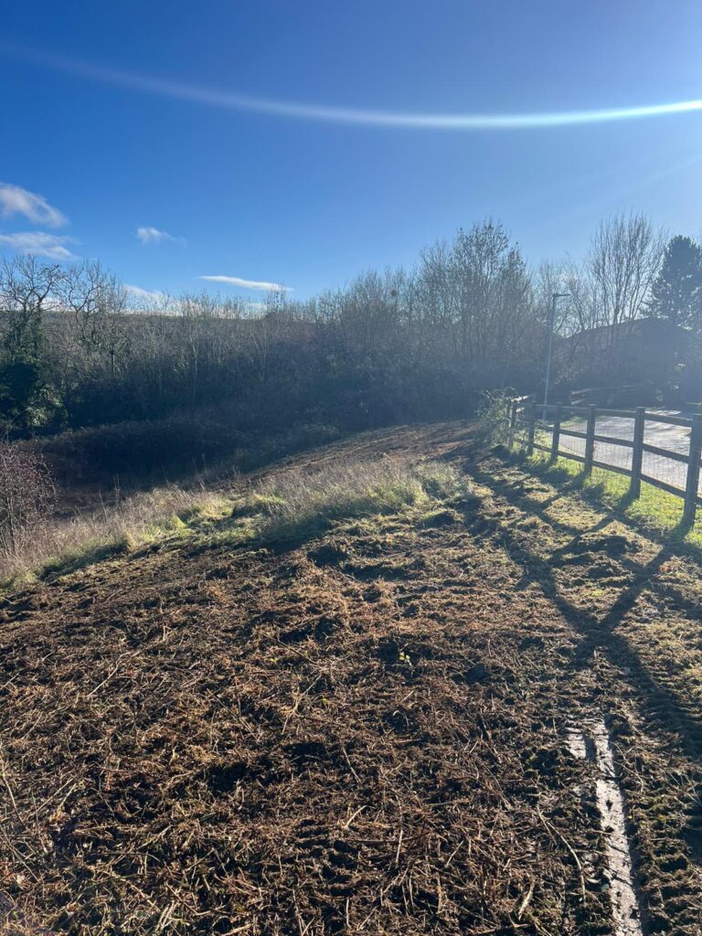 Robo flail clearing heavy bramble 