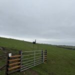500m of stock fence with 4 gates