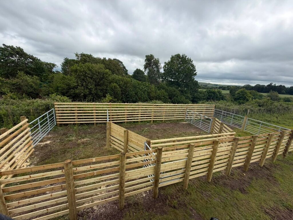 Cattle handling unit in Pewsey 