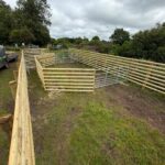 cattle handling unit